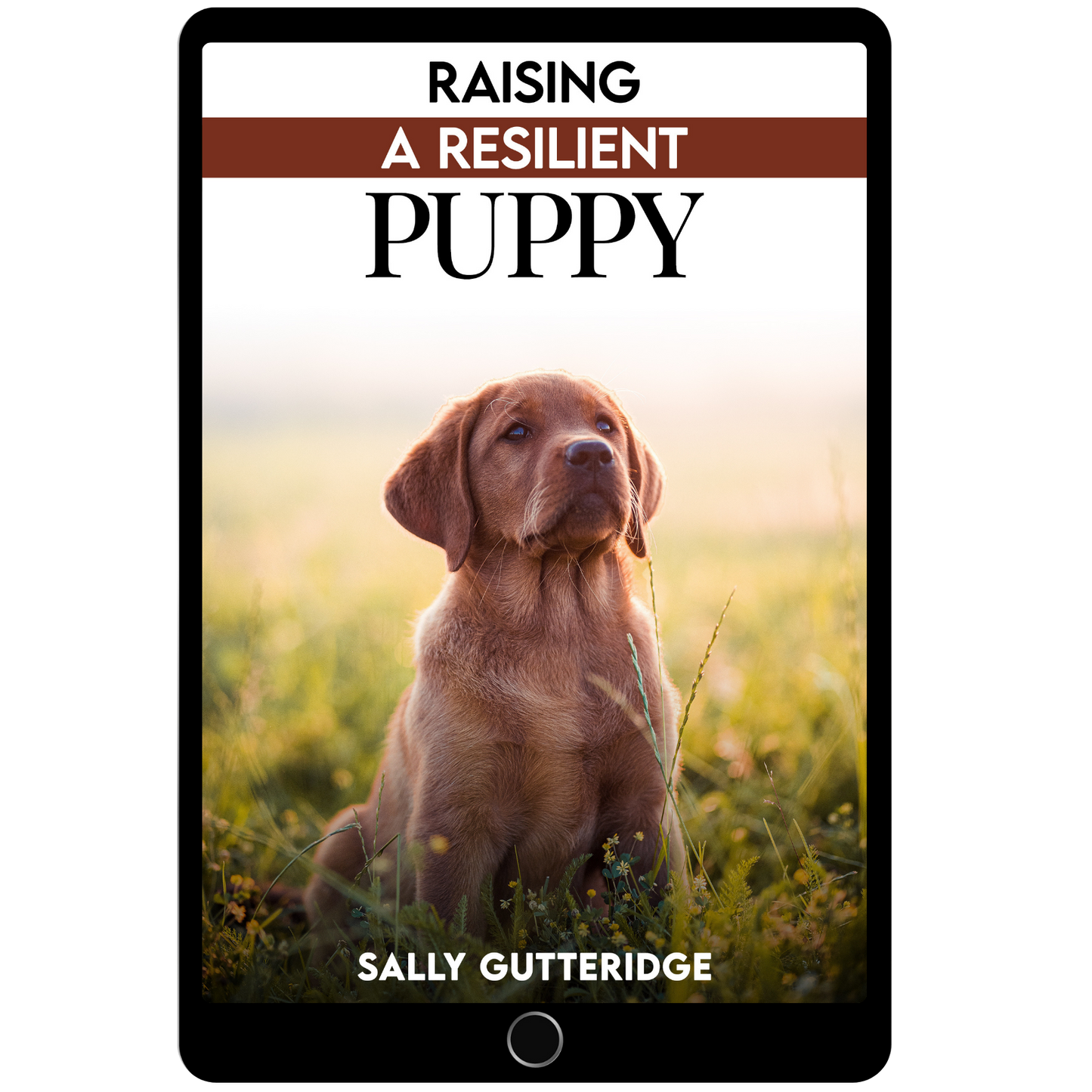 Raising a Resilient Puppy.