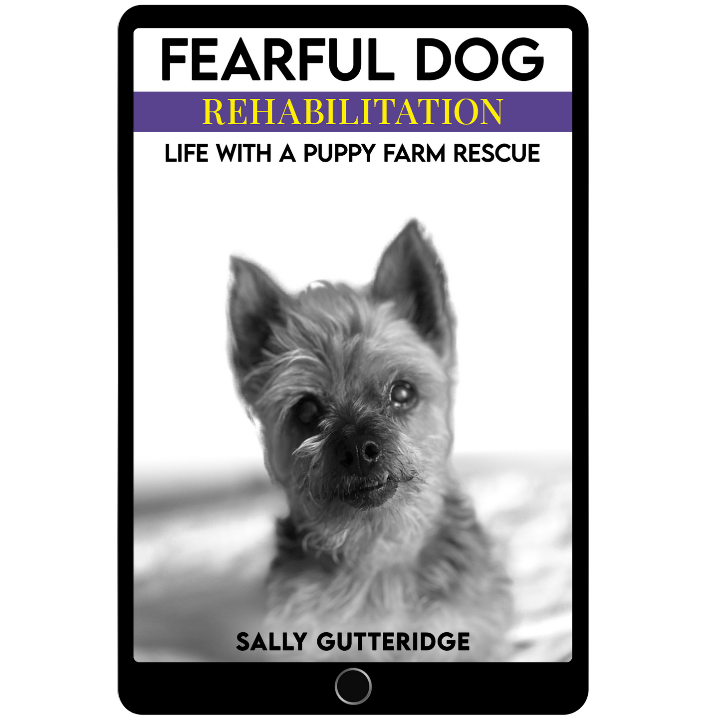 Fearful Dog Rehabilitation: Life With A Puppy Farm Rescue.