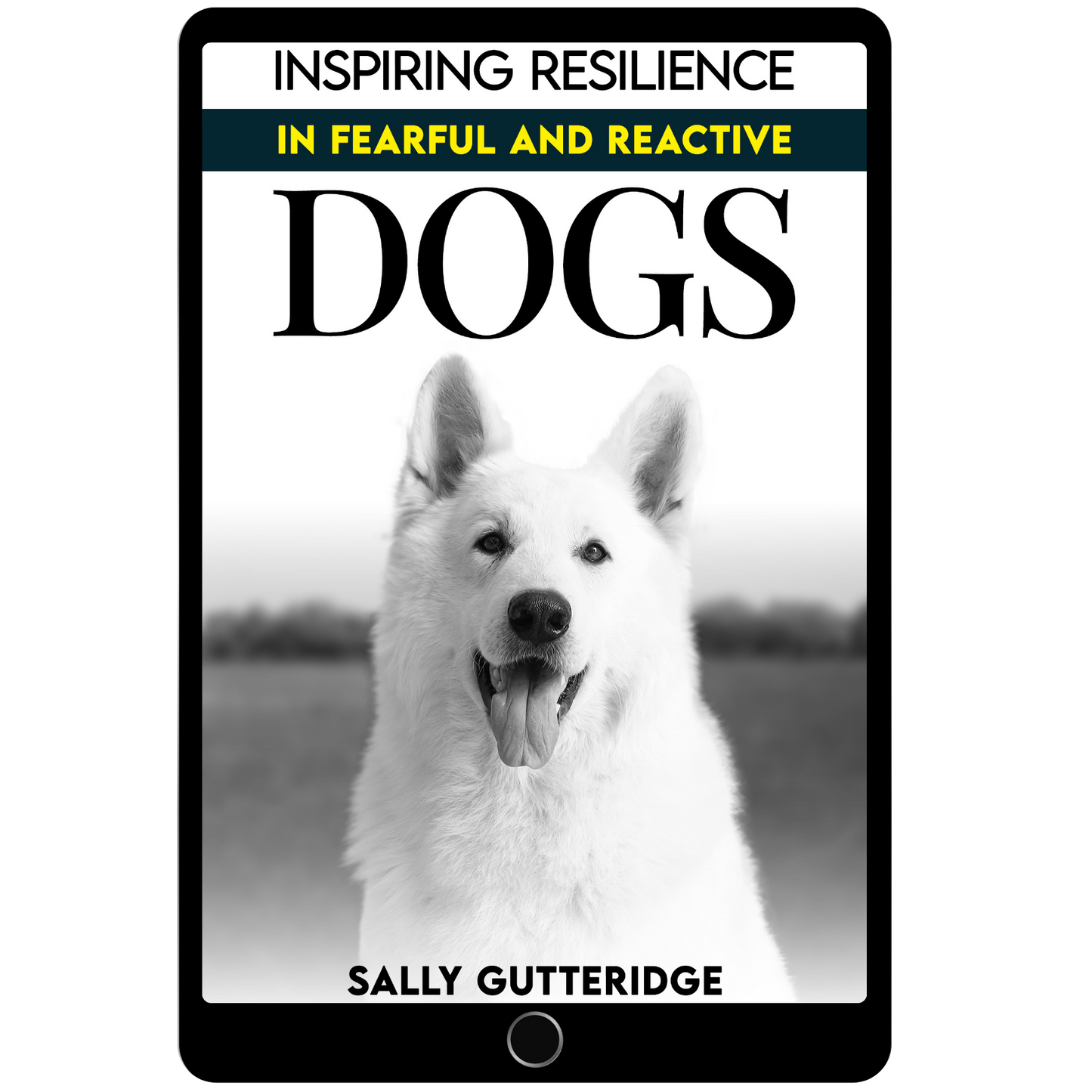 Inspiring Resilience in Fearful and Reactive Dogs.