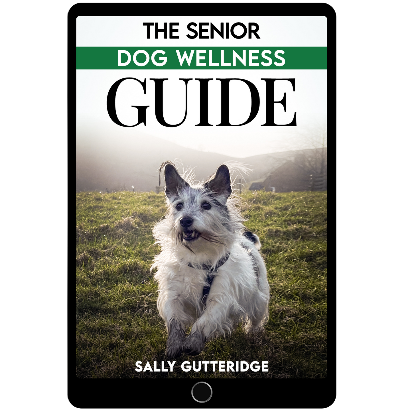 The Senior Dog Wellness Guide.