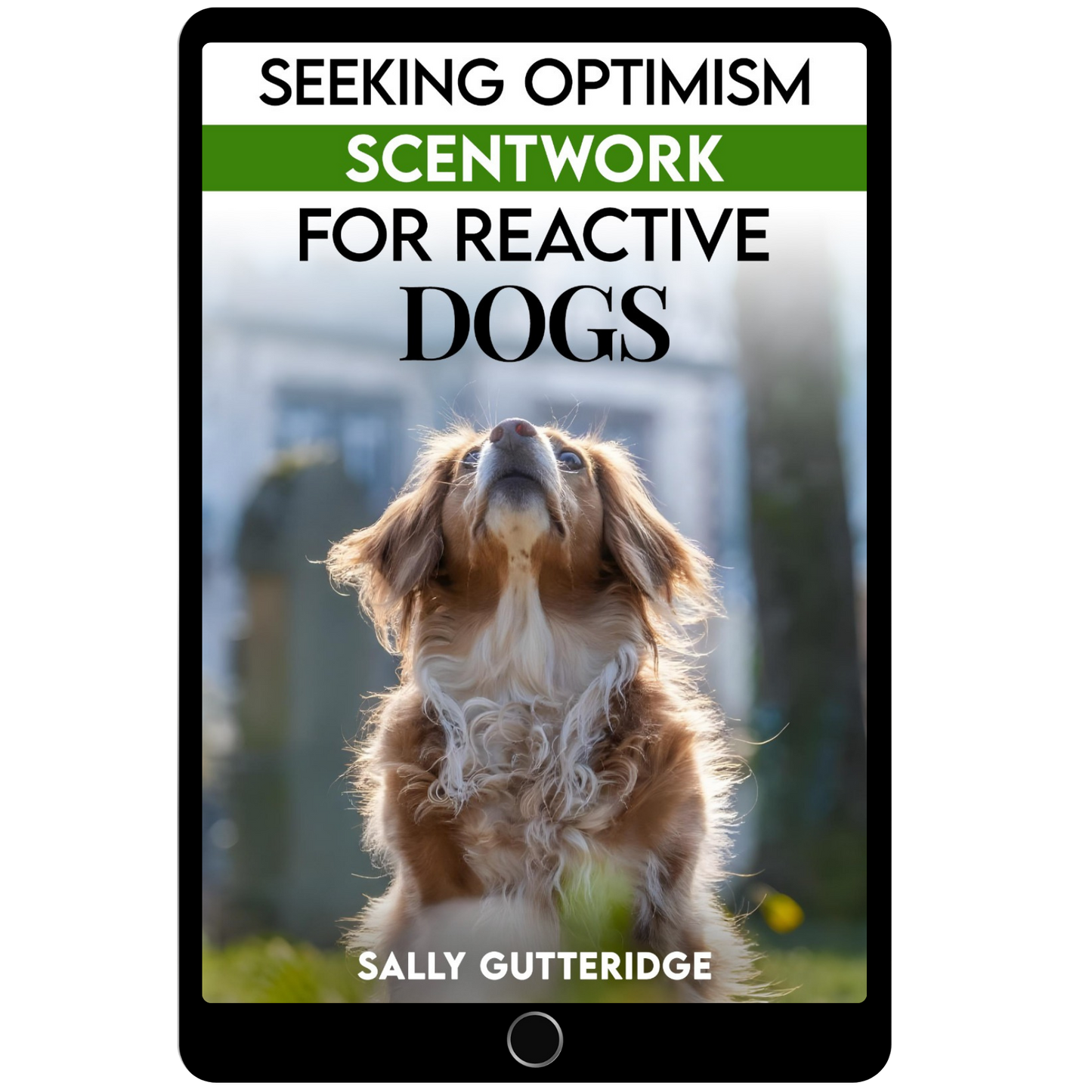 Seeking Optimism: Scentwork For Reactive Dogs