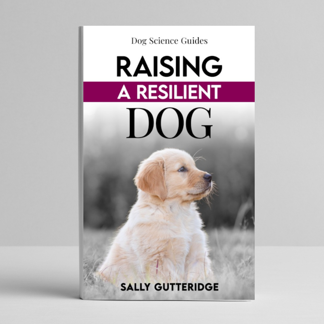 Raising A Resilient Dog