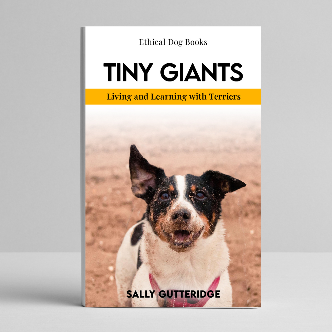 Tiny Giants: Living and Learning With Terriers.