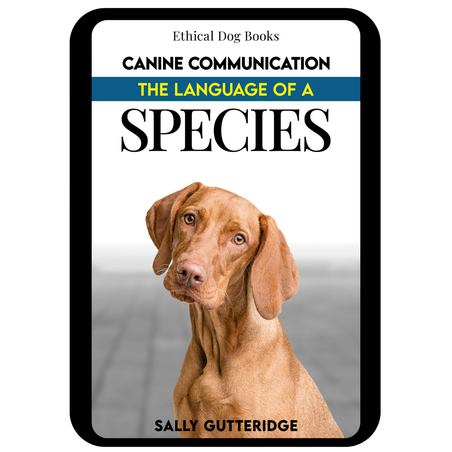 Dog Rescuer's Bundle