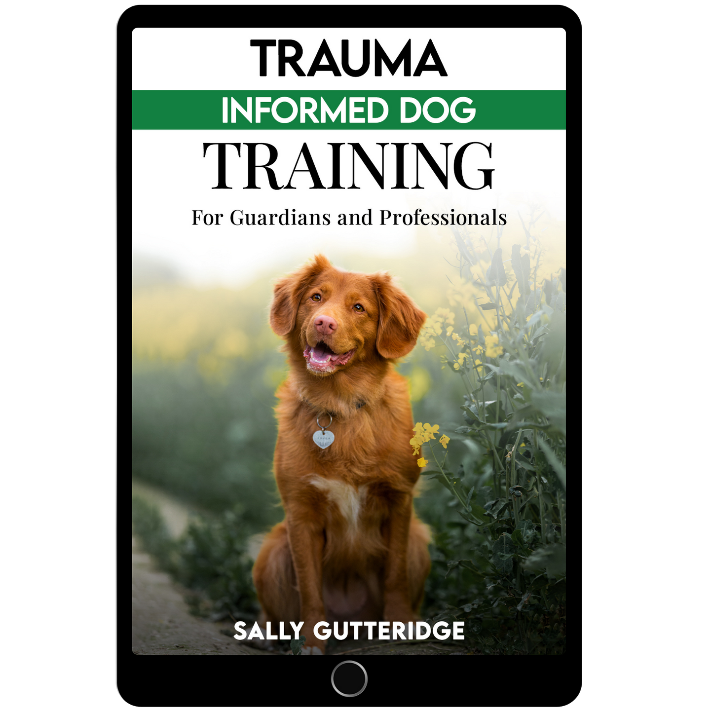 Trauma Informed Dog Training