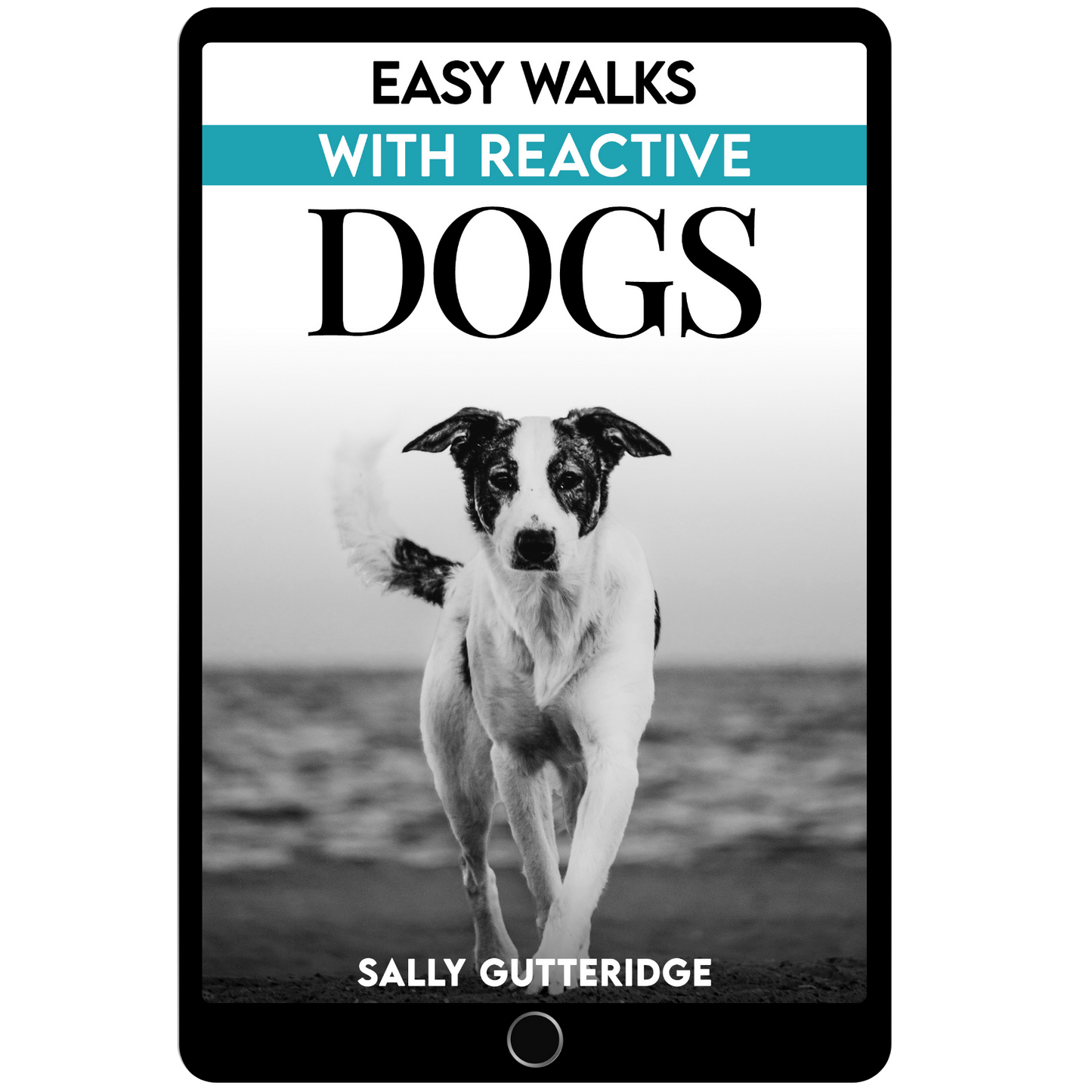 Easy Walks With Reactive Dogs.