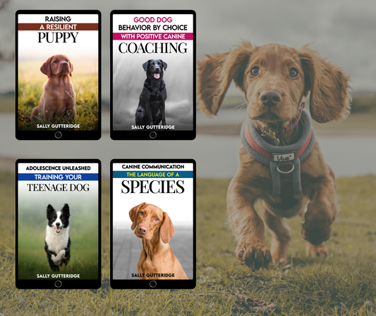 Puppy and Adolescence Bundle