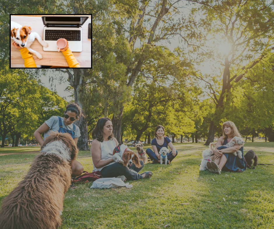 Community Full Lifetime Access