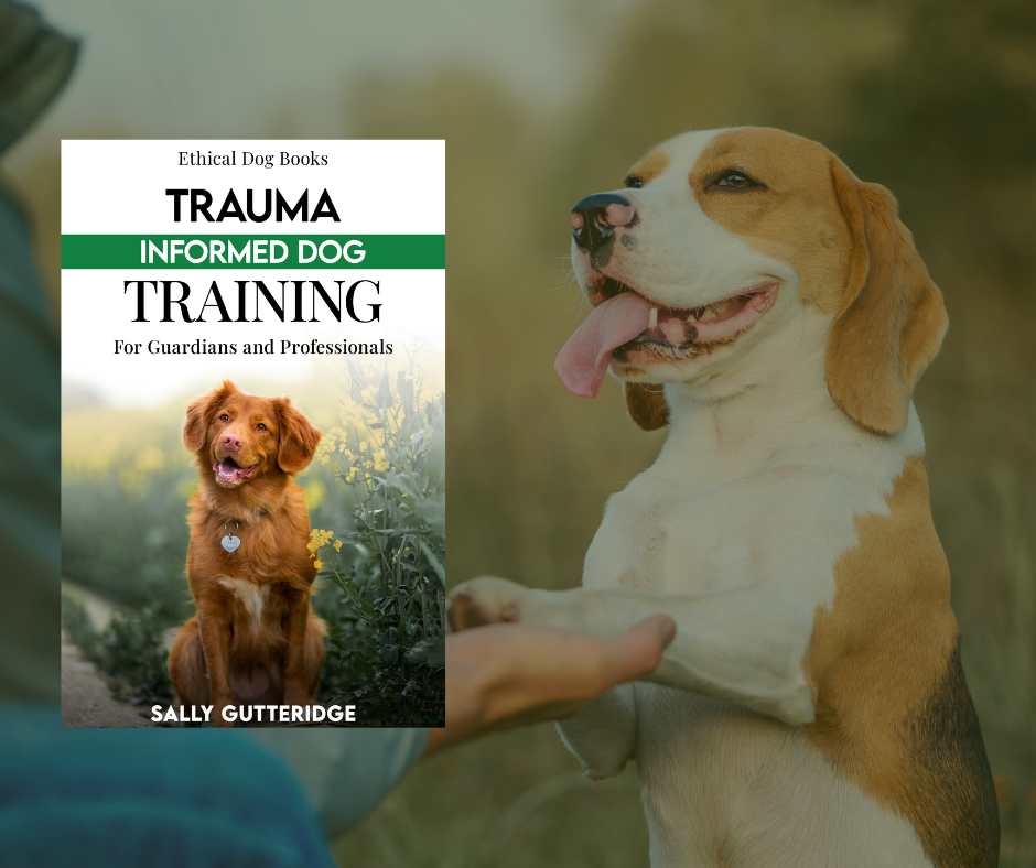 Trauma Informed Dog Training