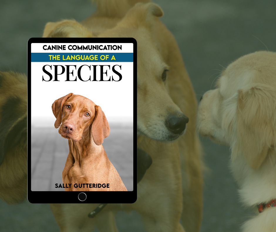 Canine Communication: The Language of a Species.