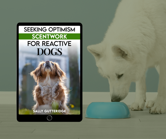 Seeking Optimism: Scentwork For Reactive Dogs