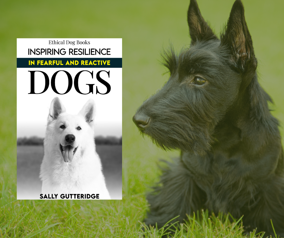 Inspiring Resilience in Fearful and Reactive Dogs.