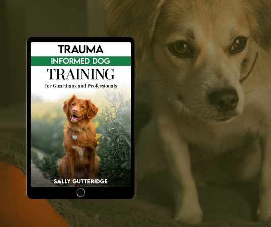 Trauma Informed Dog Training