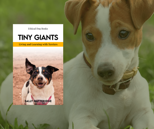 Tiny Giants: Living and Learning With Terriers.