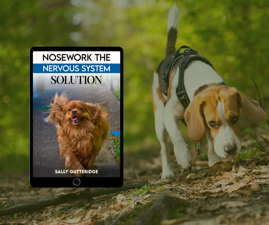 Nosework The Nervous System Solution
