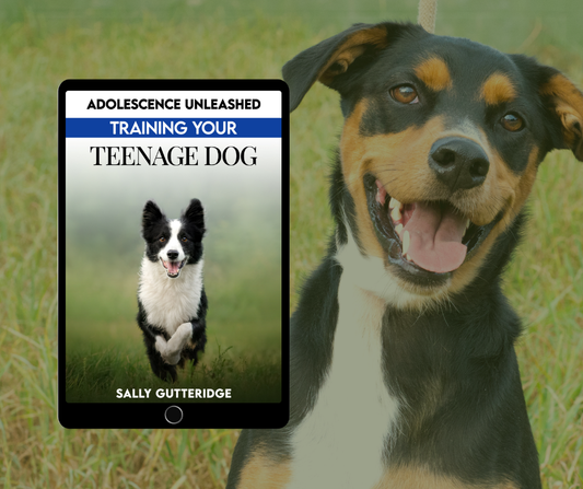 Adolescence Unleashed: Training Your Teenage Dog.