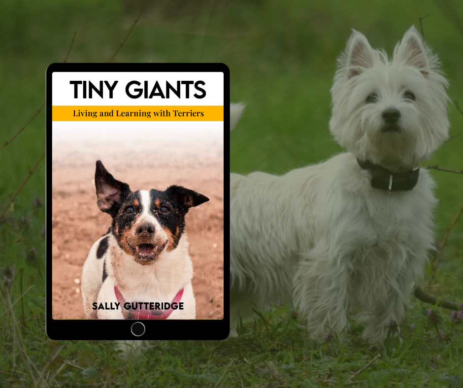 Tiny Giants: Living and Learning With Terriers.