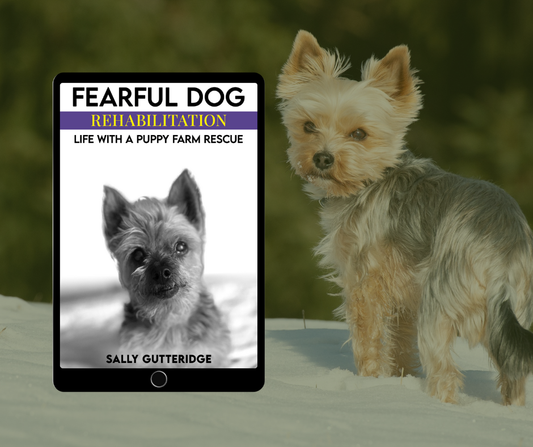 Fearful Dog Rehabilitation: Life With A Puppy Farm Rescue.