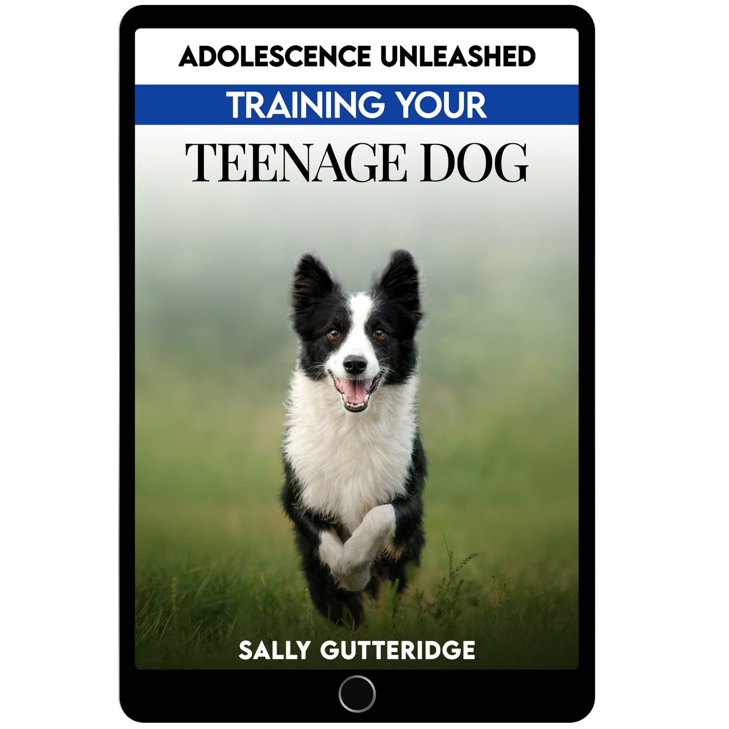 Adolescence Unleashed: Training Your Teenage Dog.