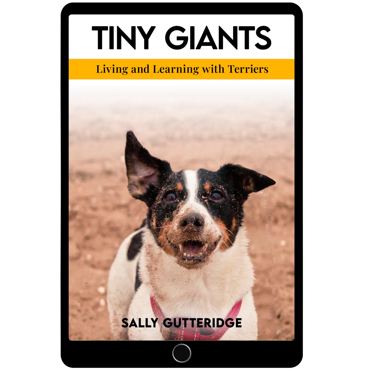 Tiny Giants: Living and Learning With Terriers.