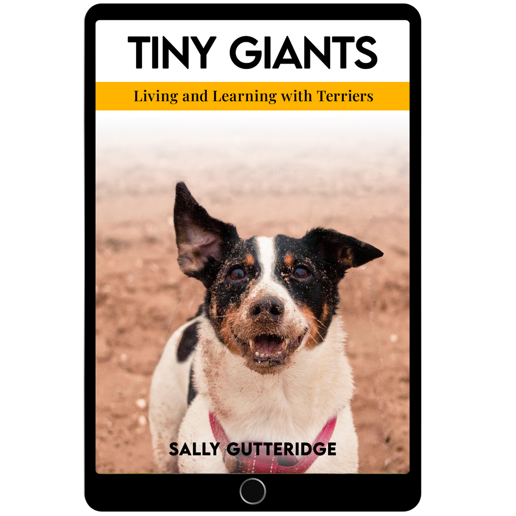 Tiny Giants: Living and Learning With Terriers.