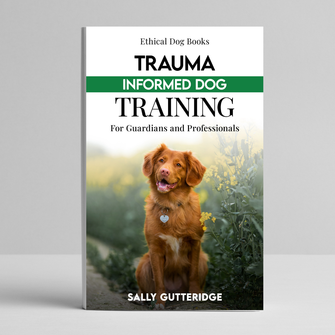 Trauma Informed Dog Training