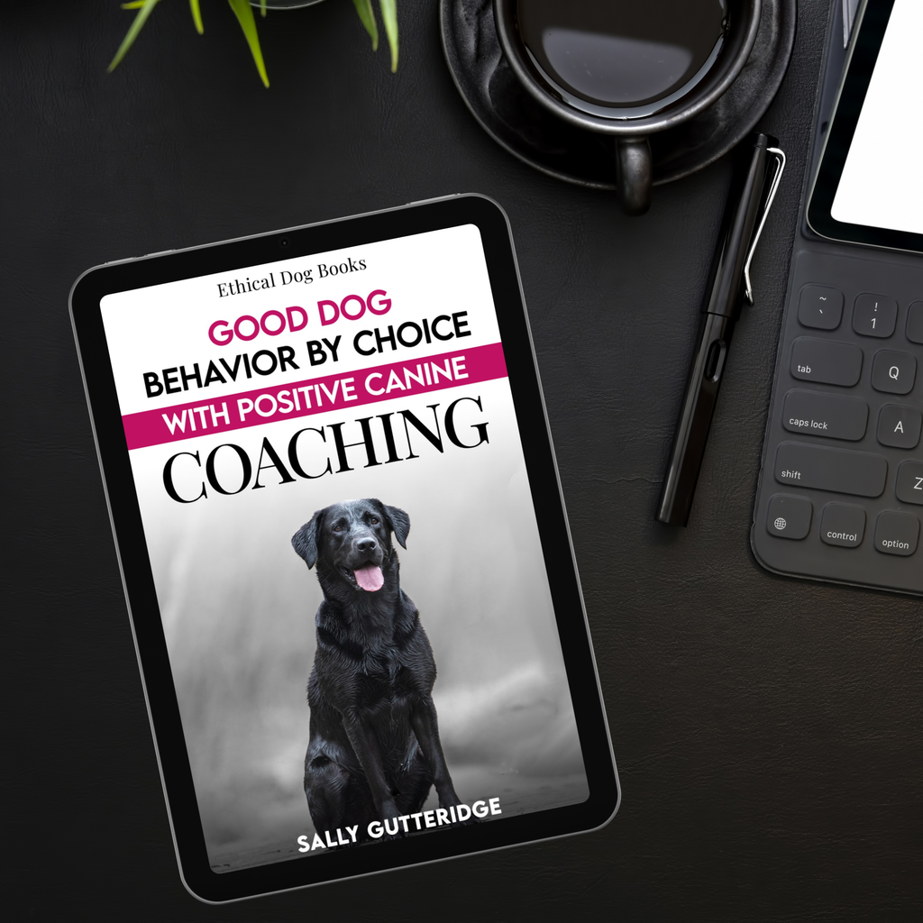 Good Dog Behaviour By Choice With Positive Canine Coaching.