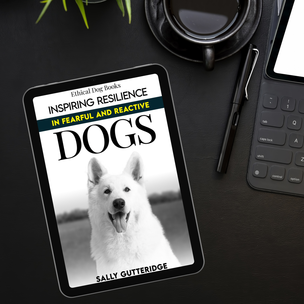 Inspiring Resilience in Fearful and Reactive Dogs.
