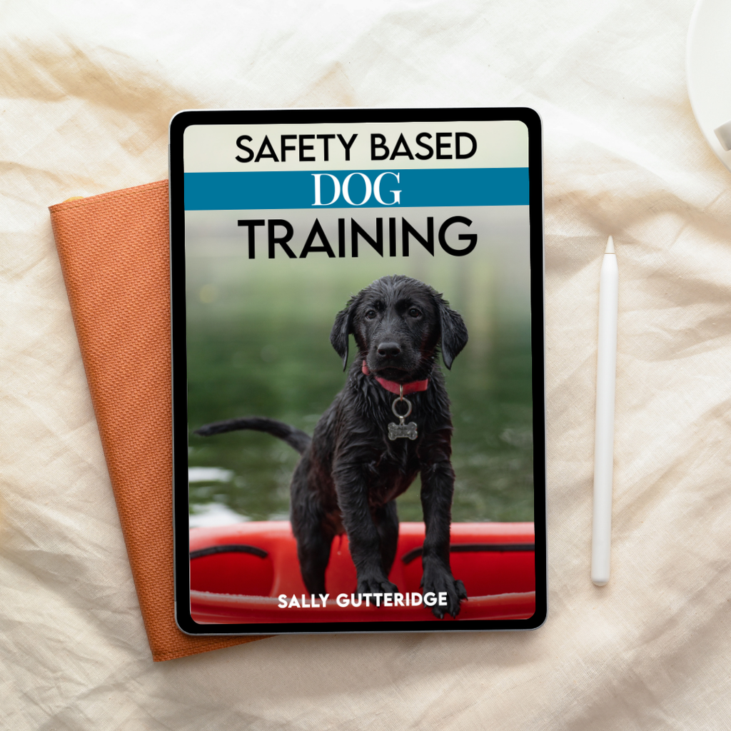 Safety Based Dog Training