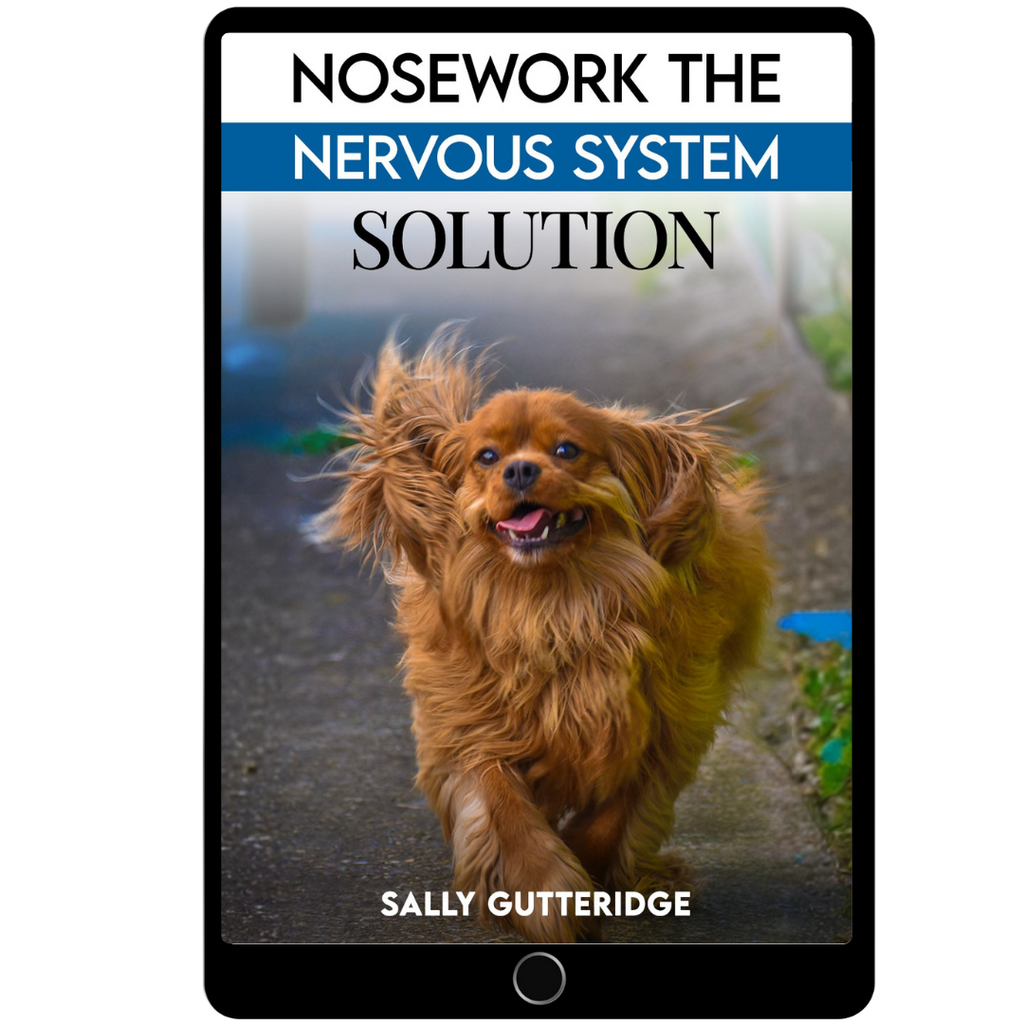Nosework The Nervous System Solution