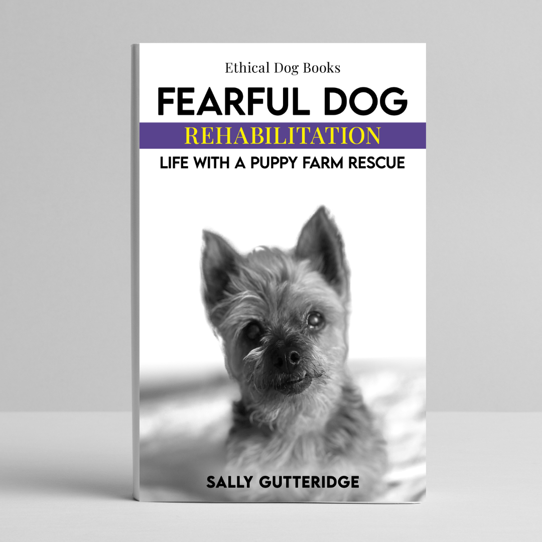 Fearful Dog Rehabilitation: Life With A Puppy Farm Rescue.