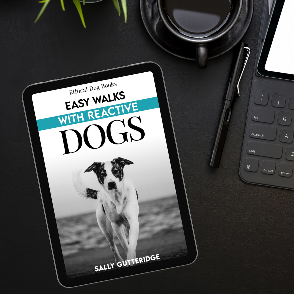 Easy Walks With Reactive Dogs.
