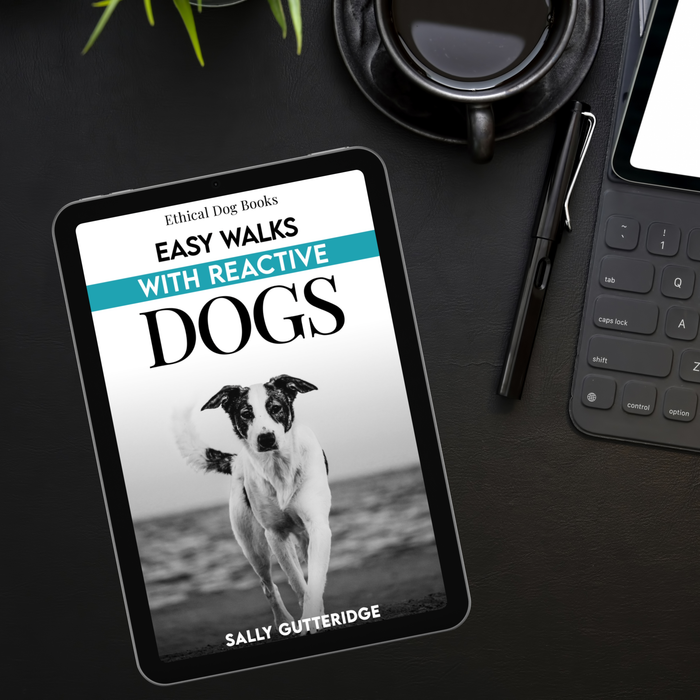 Easy Walks With Reactive Dogs.