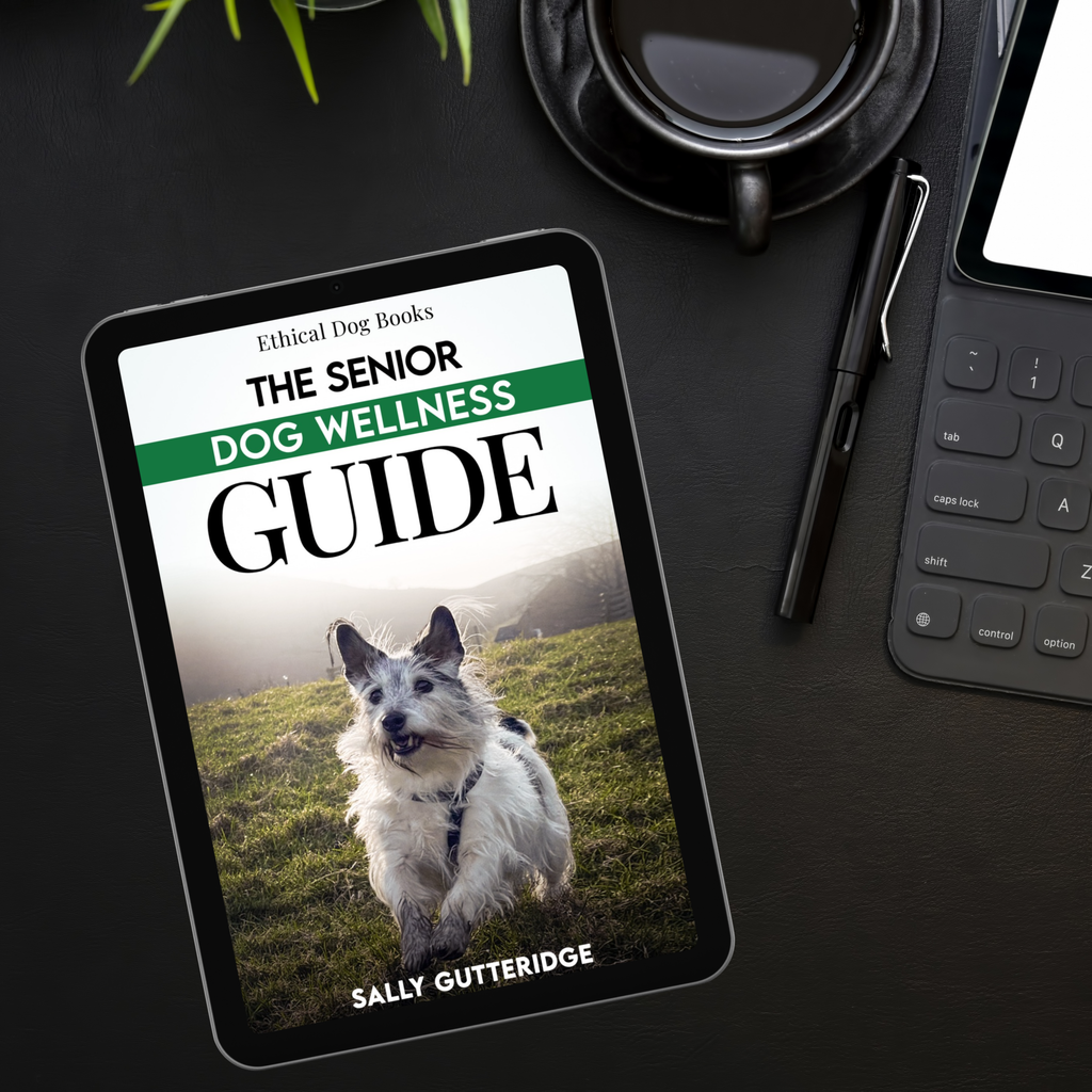 The Senior Dog Wellness Guide.