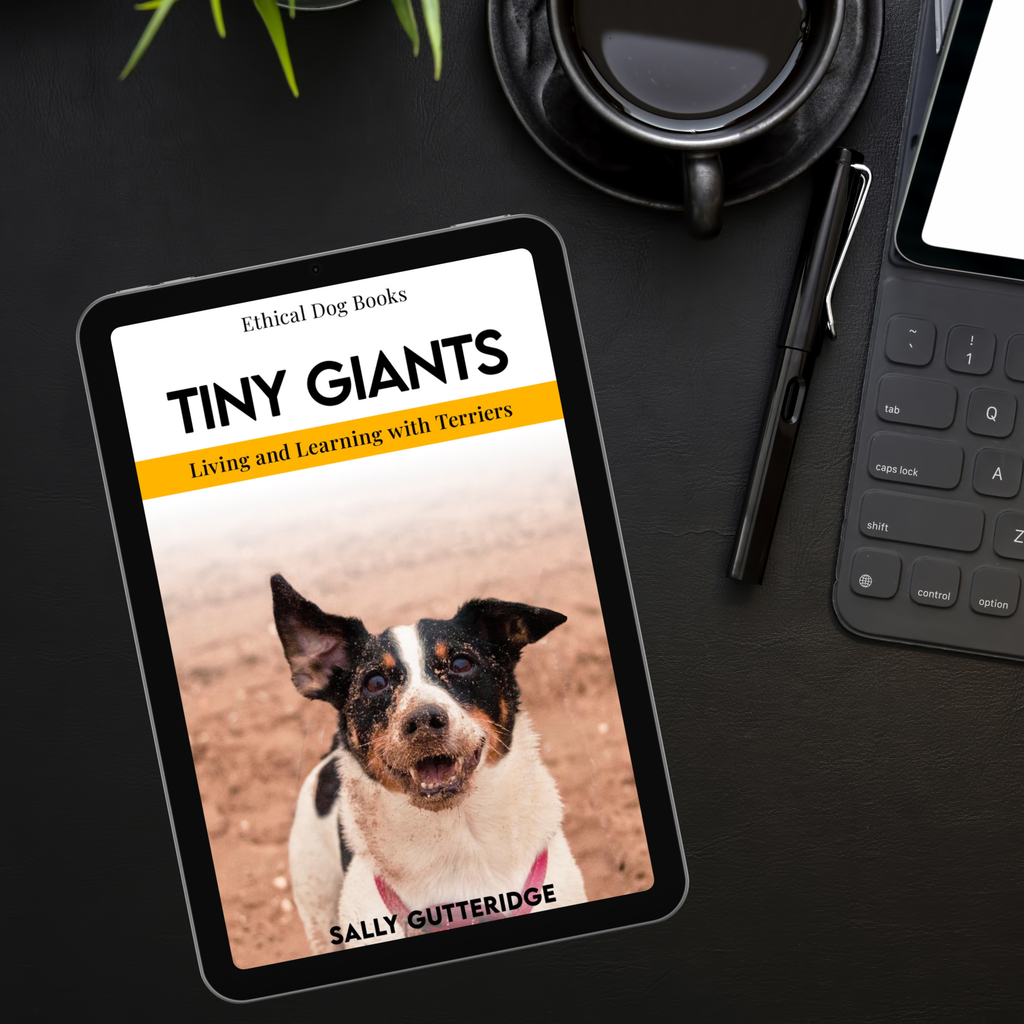 Tiny Giants: Living and Learning With Terriers.