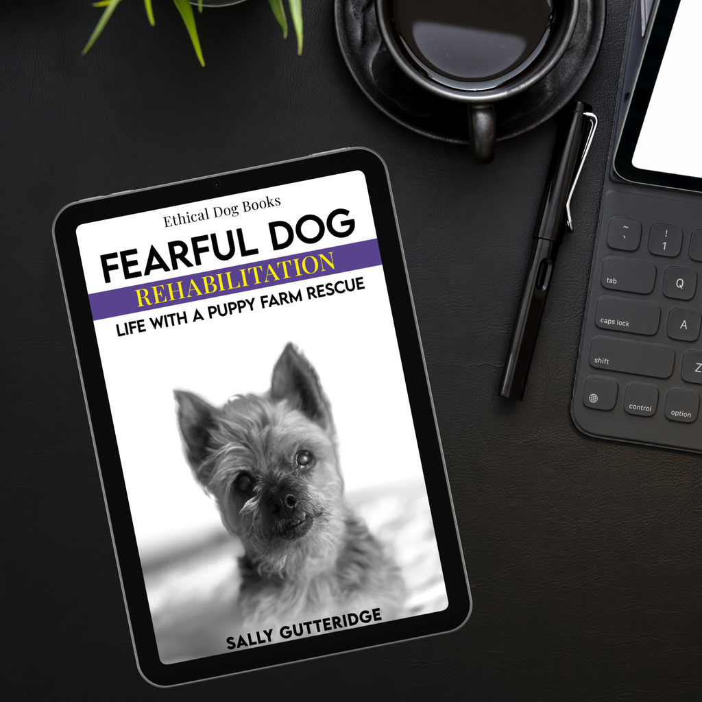 Fearful Dog Rehabilitation: Life With A Puppy Farm Rescue.