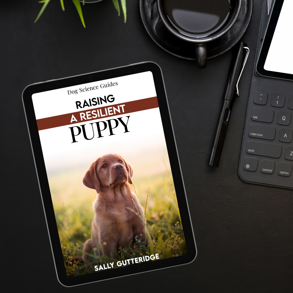 Raising a Resilient Puppy.
