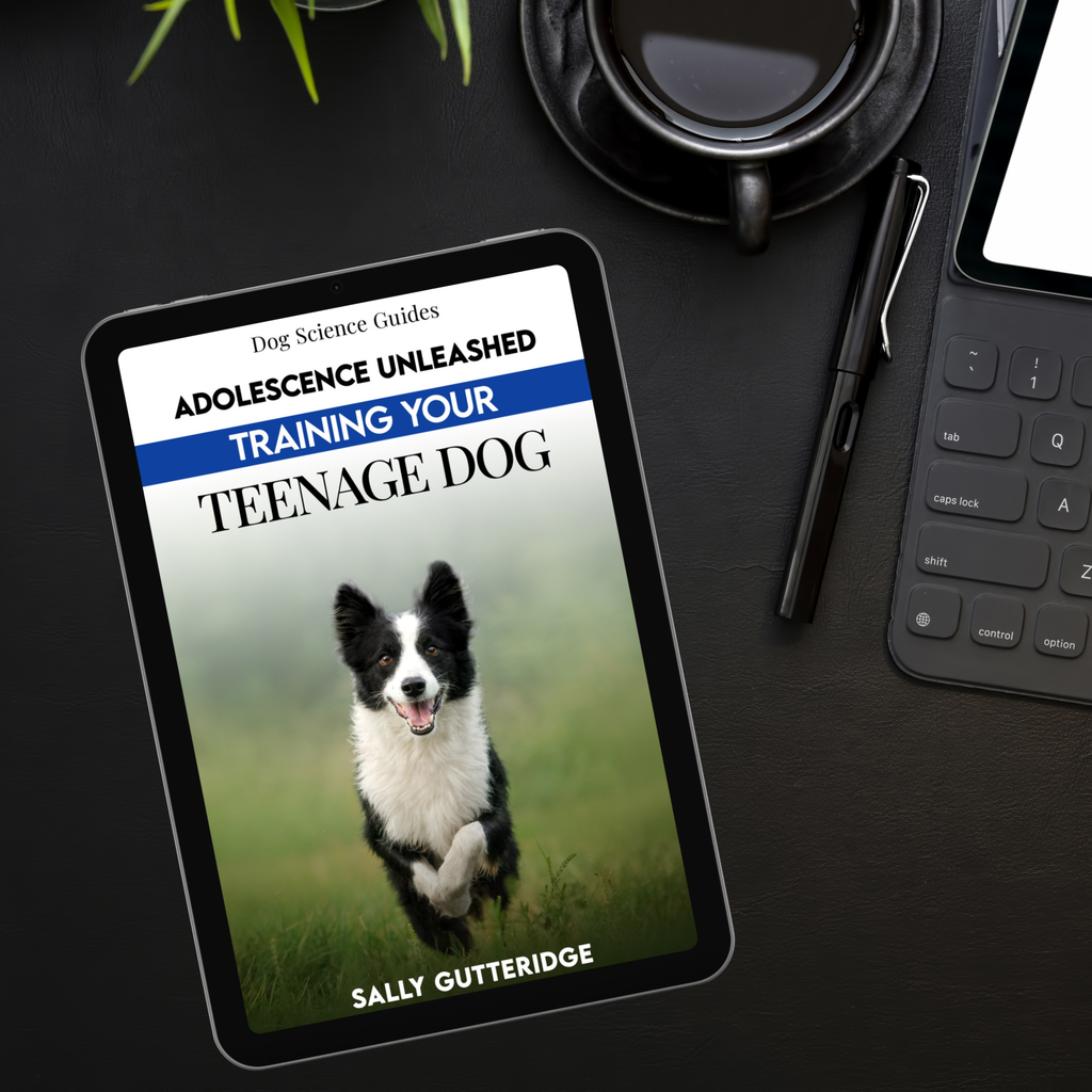 Adolescence Unleashed: Training Your Teenage Dog.