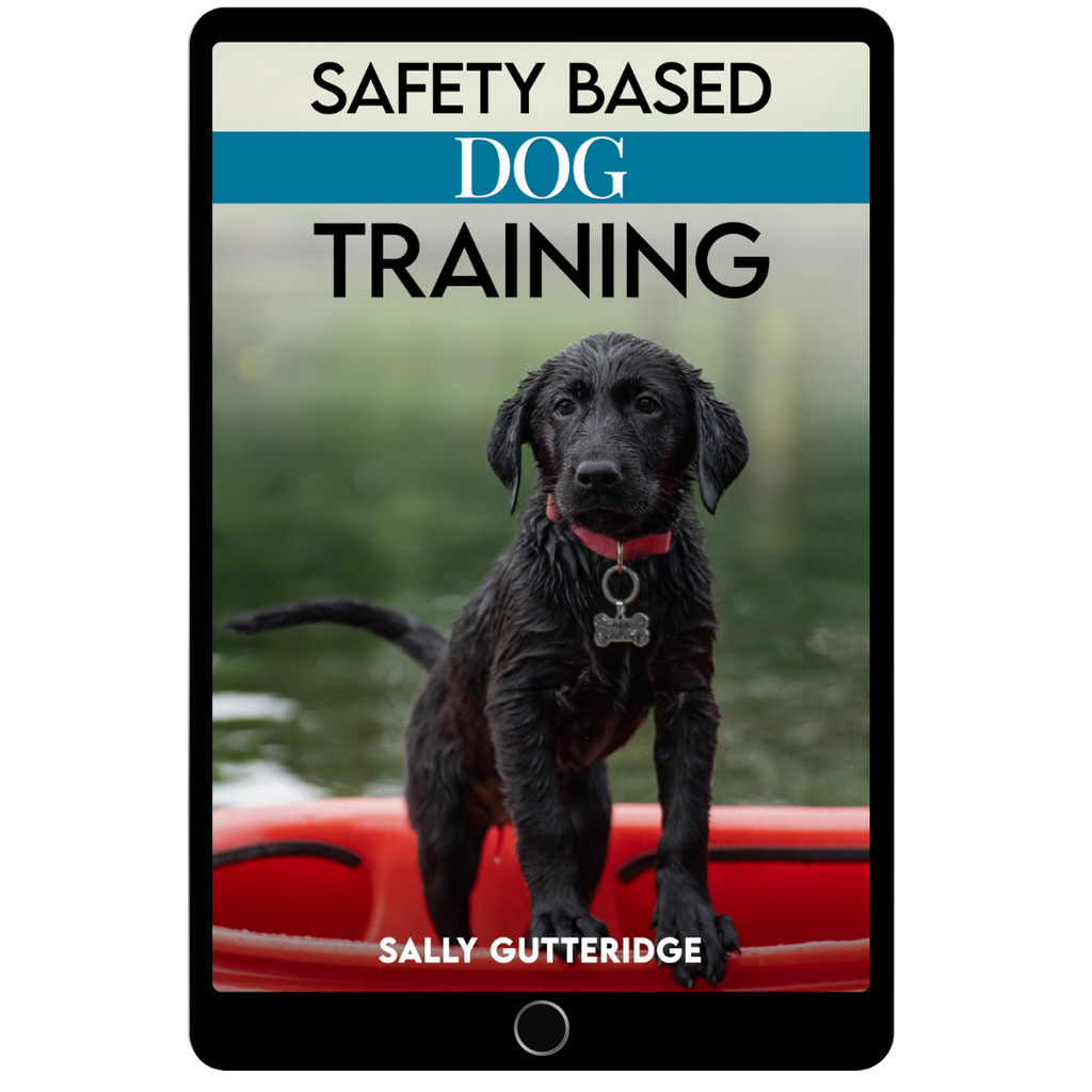 Professional Client Handout: Safety Based Dog Training
