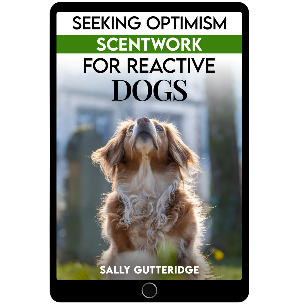 Seeking Optimism: Scentwork For Reactive Dogs
