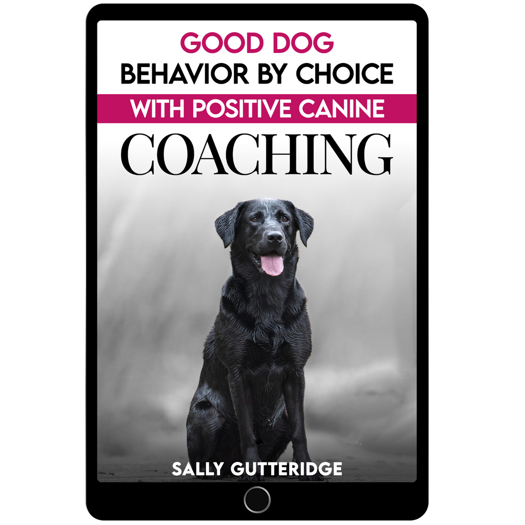 Good Dog Behaviour By Choice With Positive Canine Coaching.