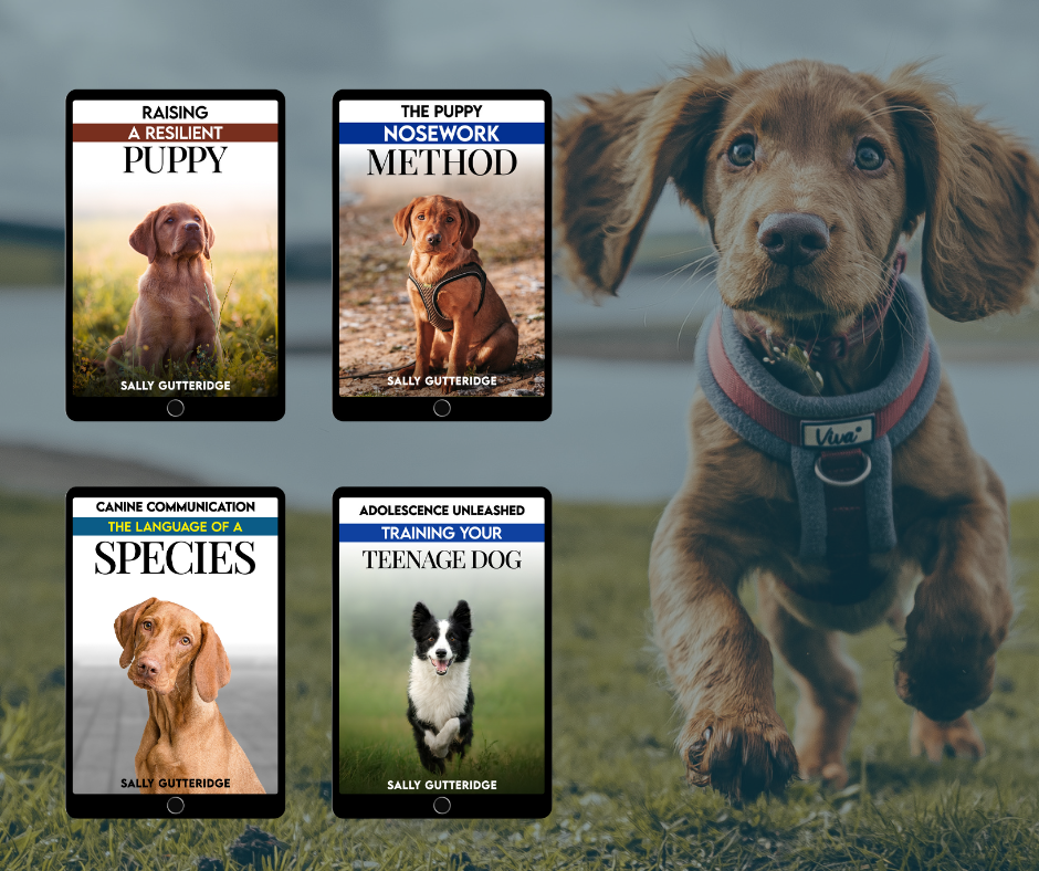 Puppy and Adolescence Bundle