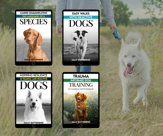 Understanding Reactivity Bundle