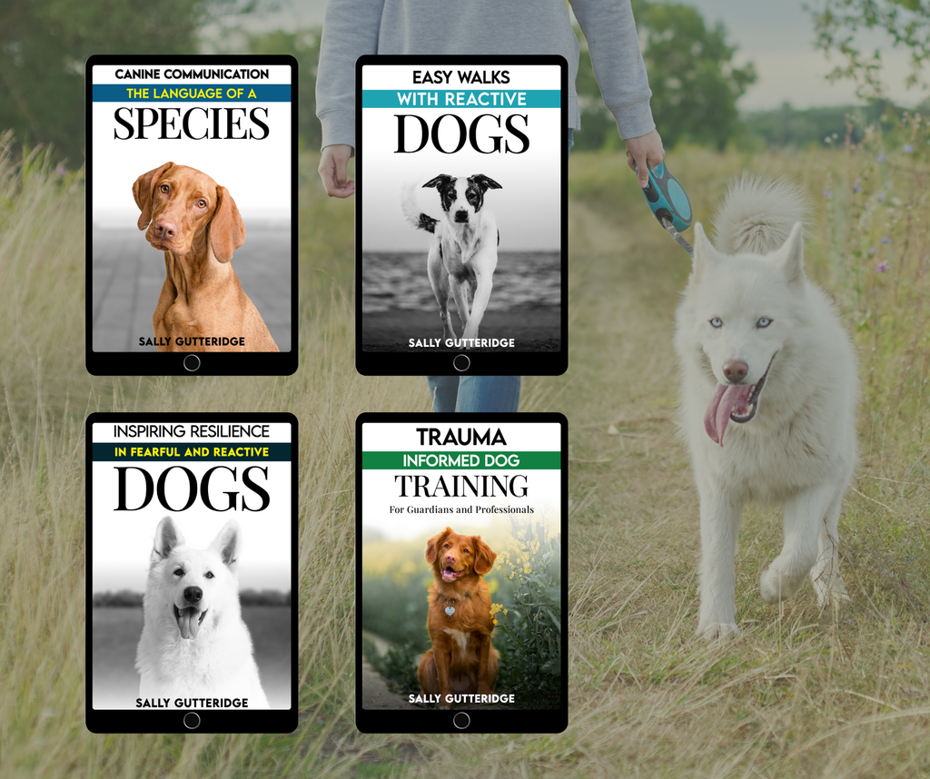 Understanding Reactive Behaviour