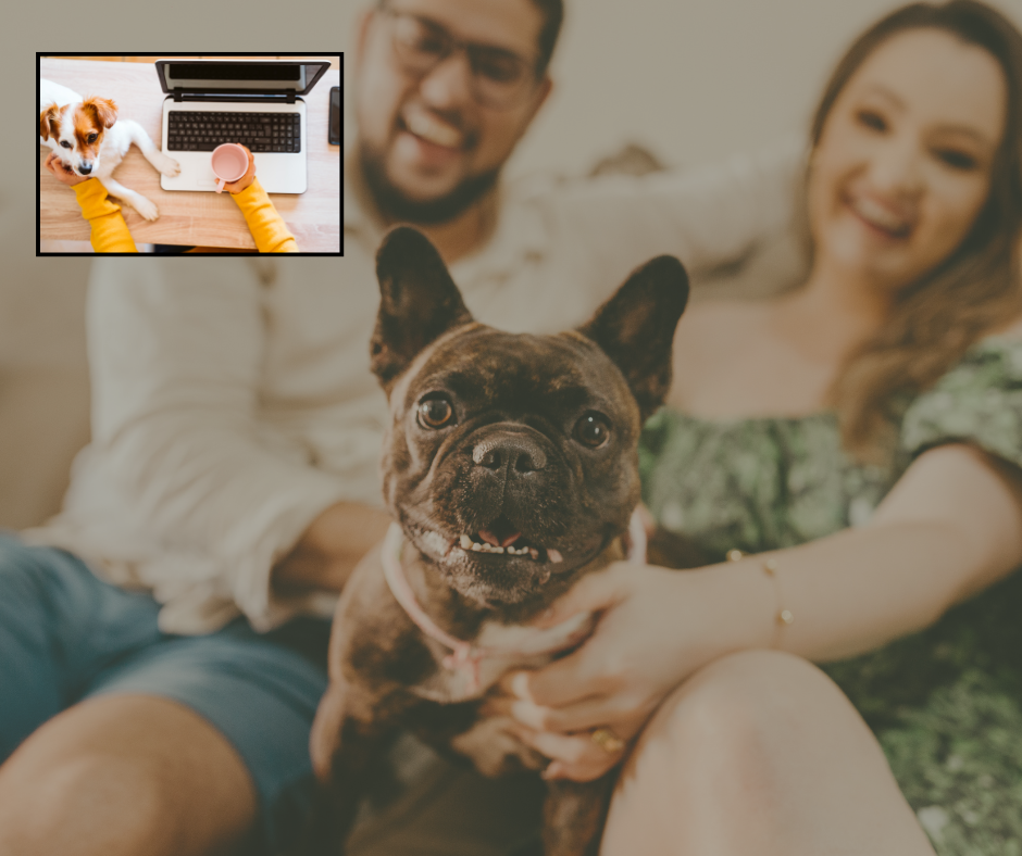 1:1 Bespoke Online Consultation x 3