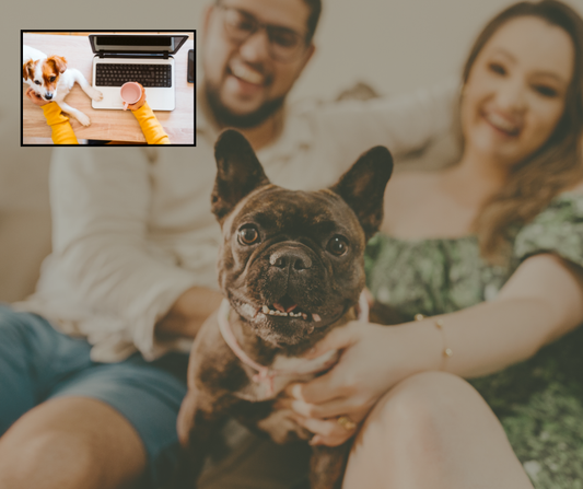 1:1 Bespoke Online Consultation x 3