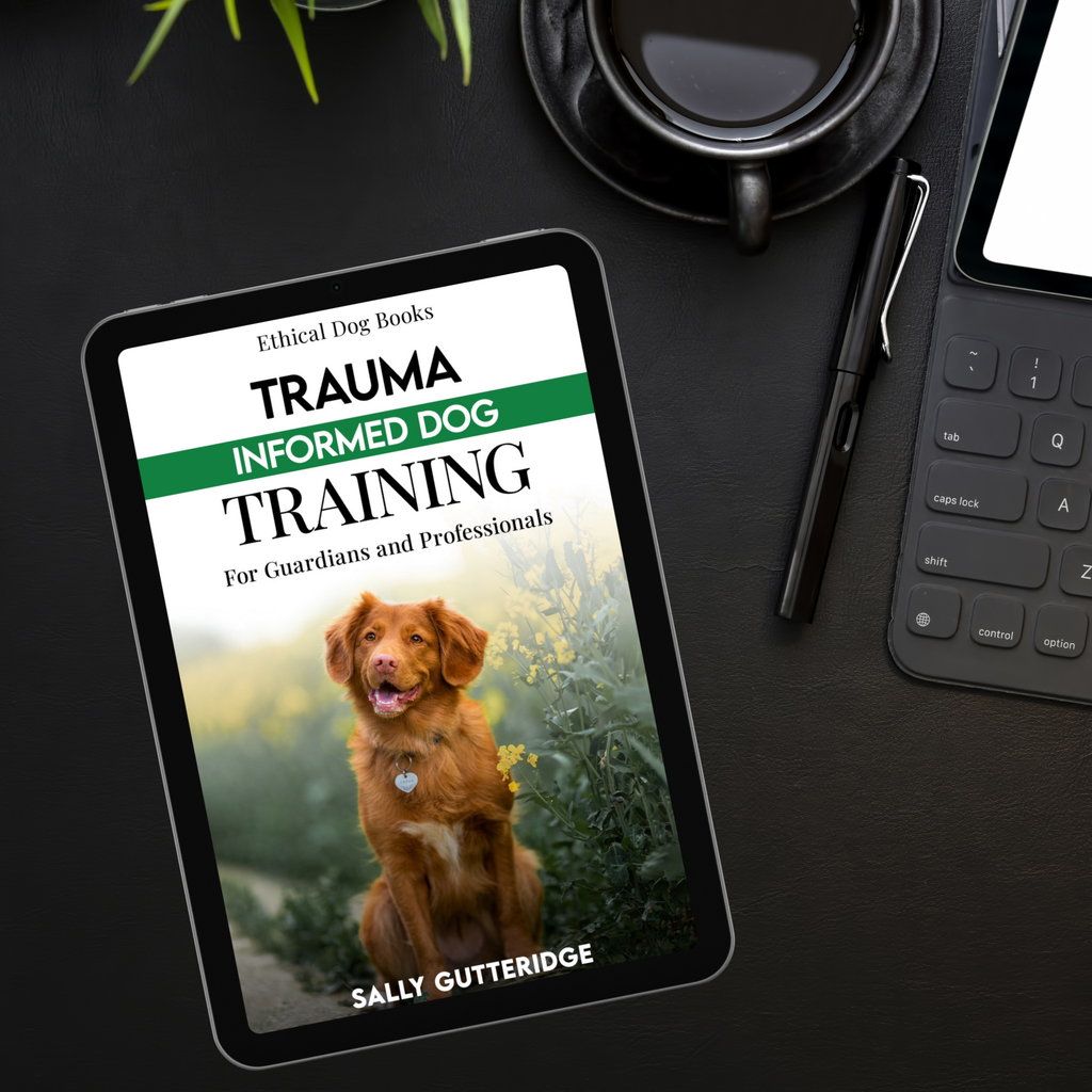 Trauma Informed Dog Training