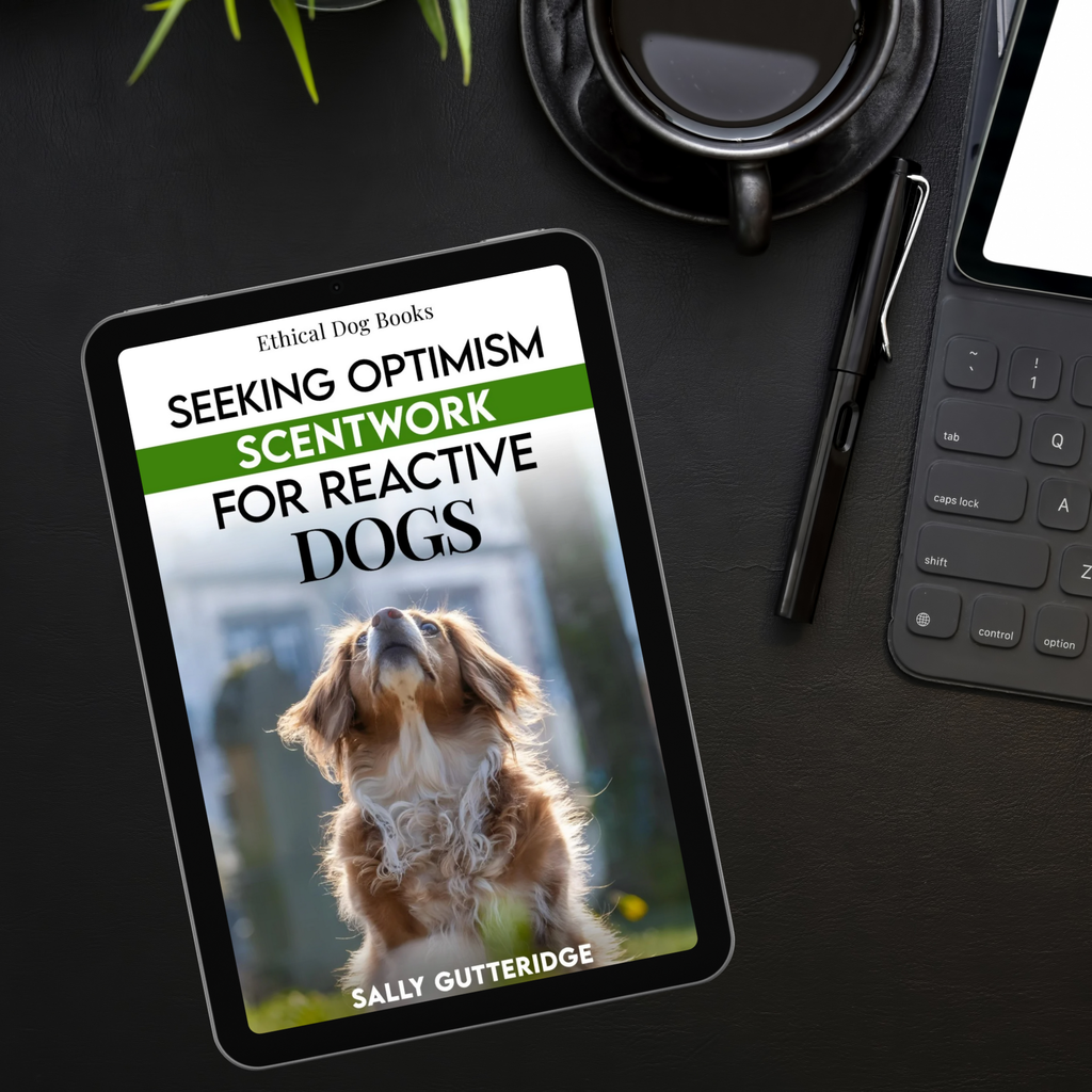 Seeking Optimism: Scentwork For Reactive Dogs