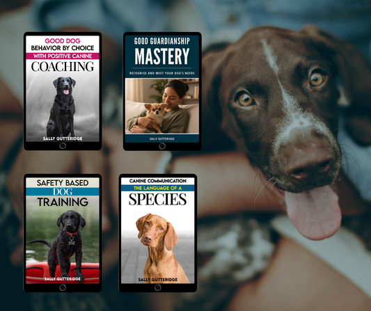 Guardian's Bumper Bundle