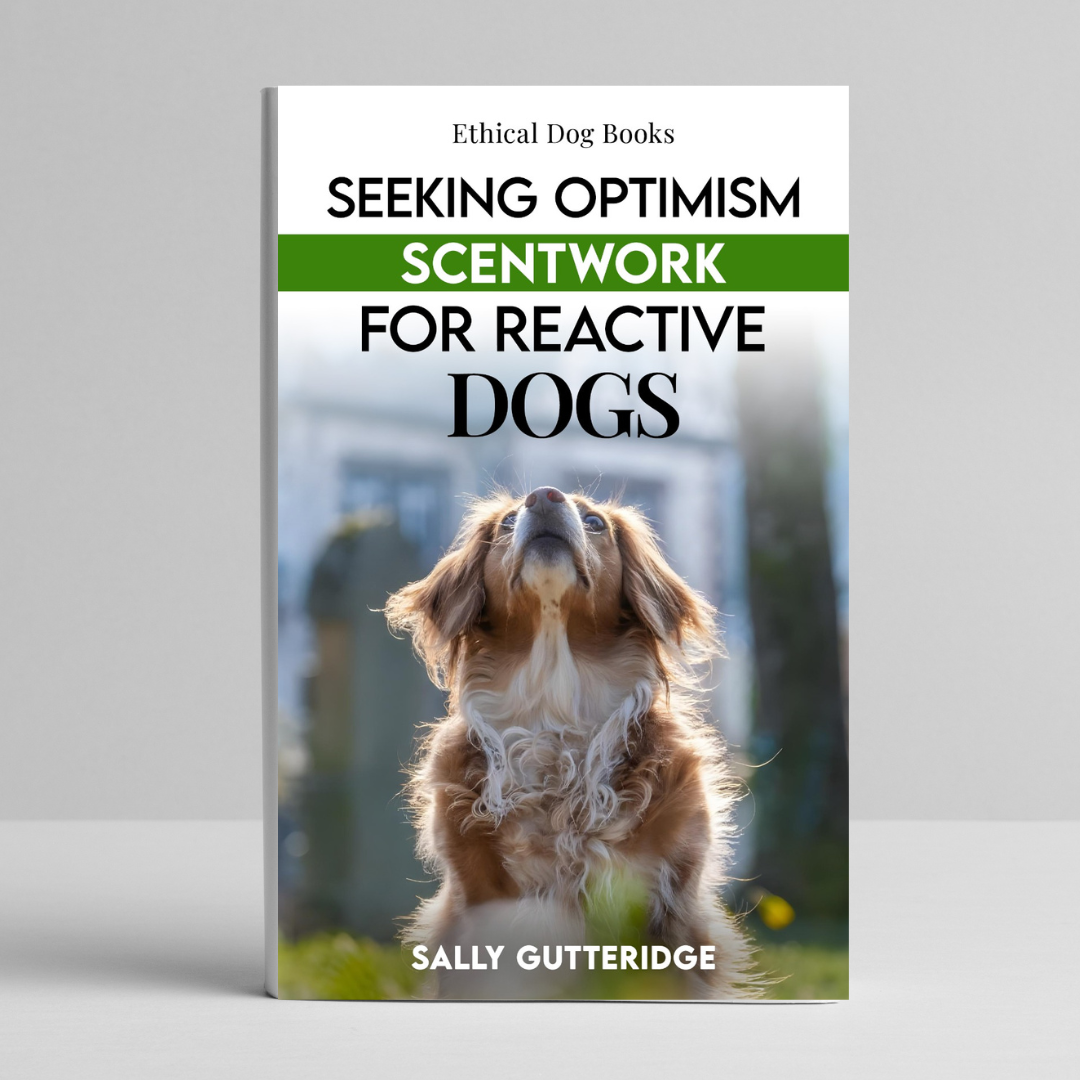 Seeking Optimism: Scentwork For Reactive Dogs